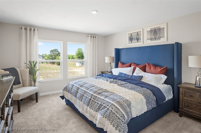 bedroom with carpet floors