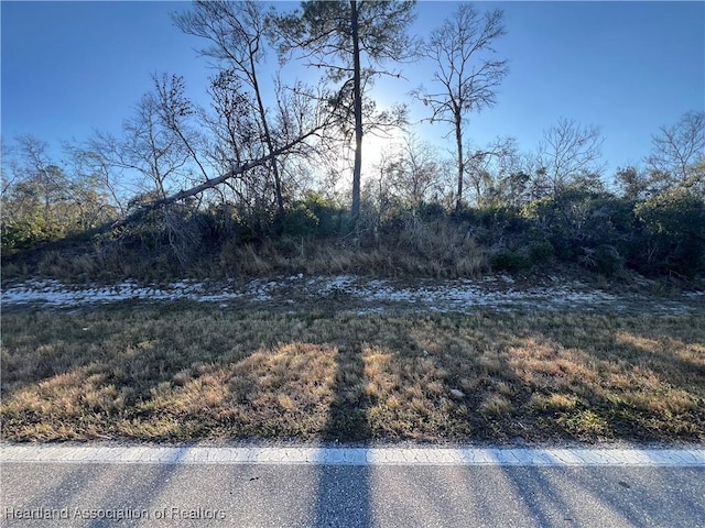 1001 County Road 29th Hwy, Lake Placid FL, 33852 land for sale