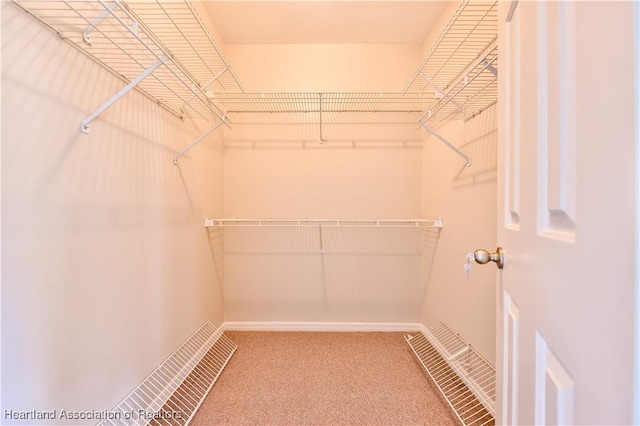 4021 Page Ave, Sebring, FL 33875 - spacious closet with carpet flooring