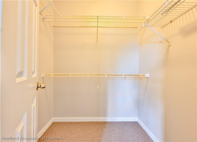 4021 Page Ave, Sebring, FL 33875 - walk in closet featuring carpet
