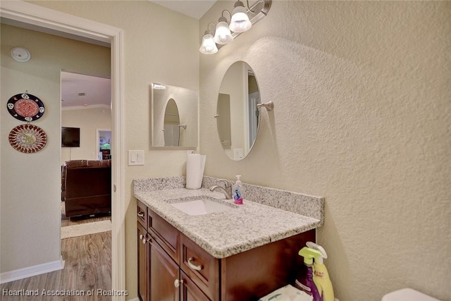 bathroom with vanity and wood-type flooring