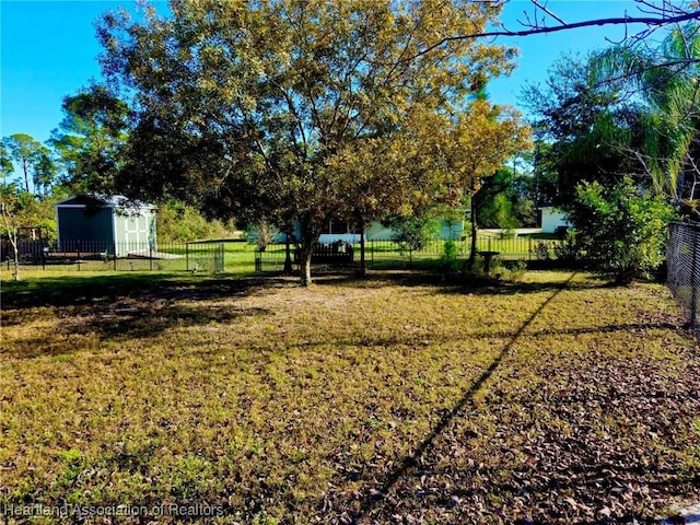 view of yard featuring a shed