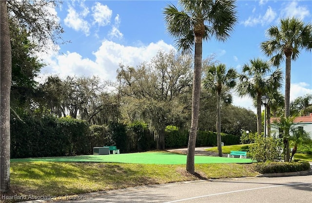 view of community featuring a lawn