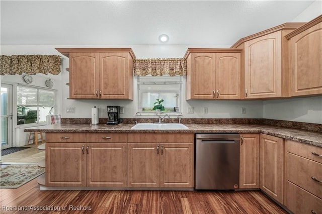 kitchen with dark countertops, dark wood-style flooring, a sink, and stainless steel dishwasher