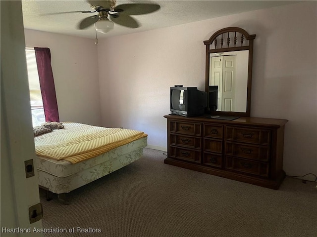 16 Notre Dame St, Lake Placid, FL 33852 - bedroom featuring carpet floors and a ceiling fan