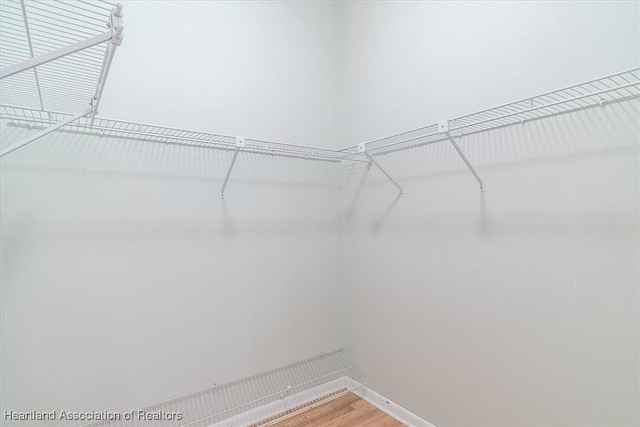 walk in closet featuring wood-type flooring