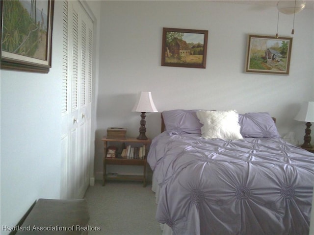 bedroom featuring carpet flooring