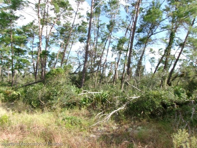 485 Wayside Ave, Sebring, FL 33872 - photo 1