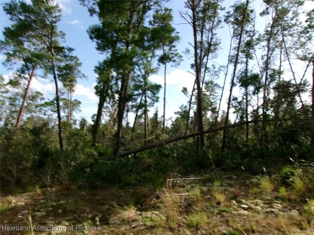 485 Wayside Ave, Sebring, FL 33872 - photo 8
