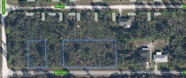 3021 Beech Ave, Lake Placid, FL 33852 - photo 1