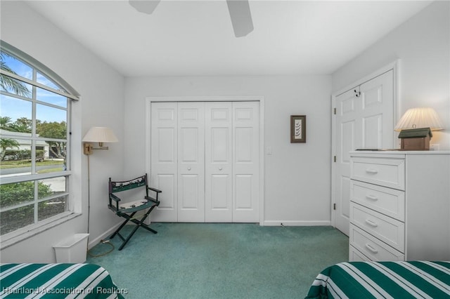 bedroom featuring ceiling fan, carpet floors, and multiple windows