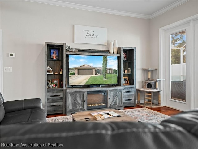 living room featuring crown molding and wood-type flooring