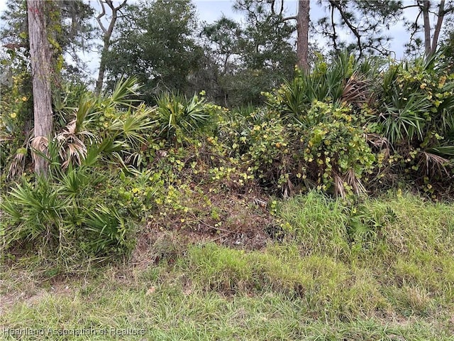 Listing photo 2 for TBD(PARCEL6) Golfview Road, Sebring FL 33875