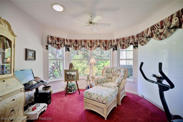 carpeted bedroom with ceiling fan and lofted ceiling