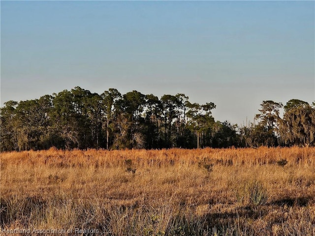 1000 Platt Rd, Venus FL, 33960 land for sale