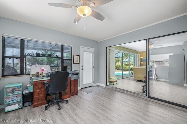 office featuring light hardwood / wood-style flooring and ceiling fan