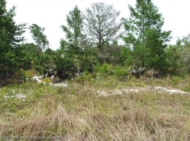 2898 W Avalon Rd, Avon Park FL, 33825 land for sale