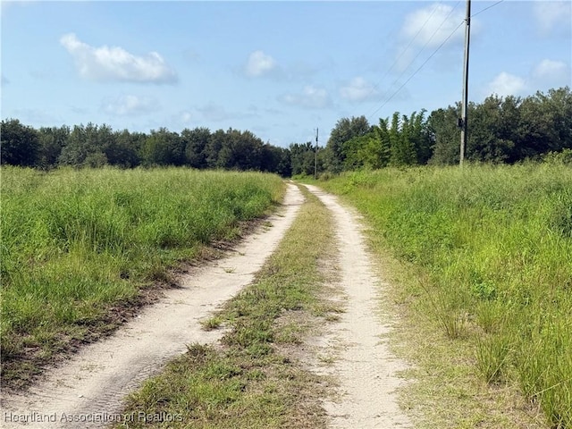63 Joyner Rd, Venus, FL 33960 - photo 5