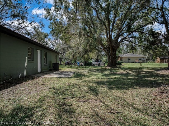 view of yard featuring a patio area