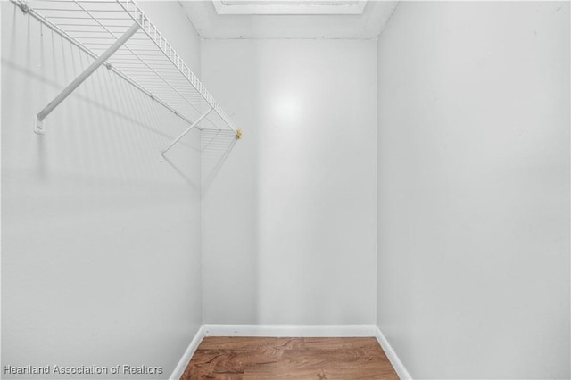 spacious closet featuring wood-type flooring