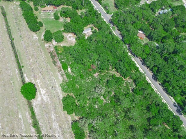 482 Kulwicki Dr, Venus, FL 33960 - photo 9