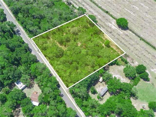 482 Kulwicki Dr, Venus, FL 33960 - photo 2