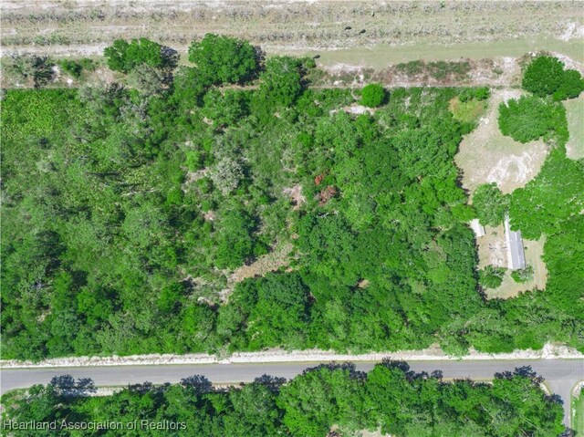 482 Kulwicki Dr, Venus, FL 33960 - photo 3