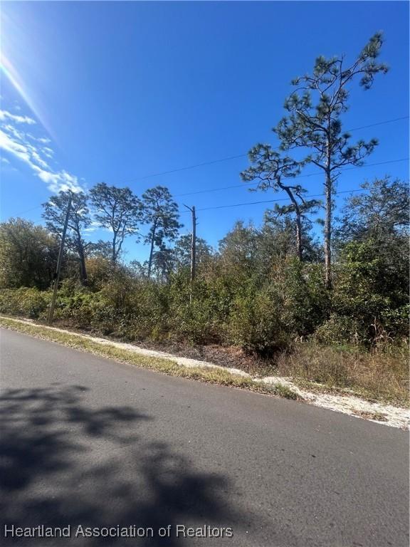 482 Kulwicki Dr, Venus, FL 33960 - photo 6