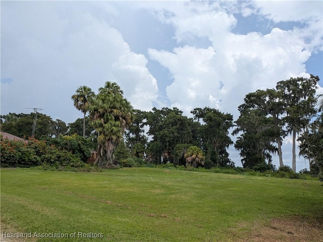 3020 Abell Rd, Lake Placid, FL 33852 - photo 2