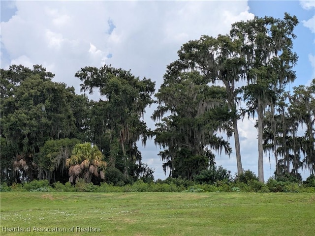3020 Abell Rd, Lake Placid, FL 33852 - photo 3