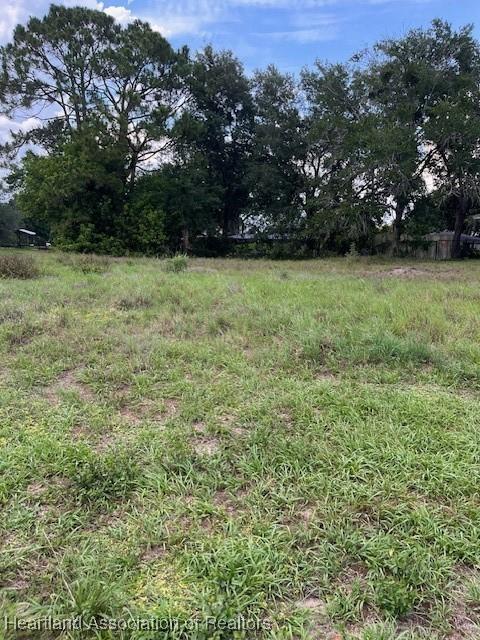125 Apple Tree Ave, Lake Placid, FL 33852