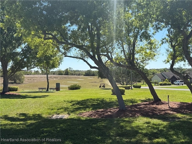 surrounding community featuring a yard