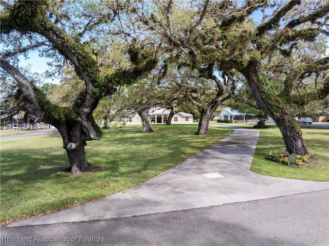 view of street featuring concrete driveway