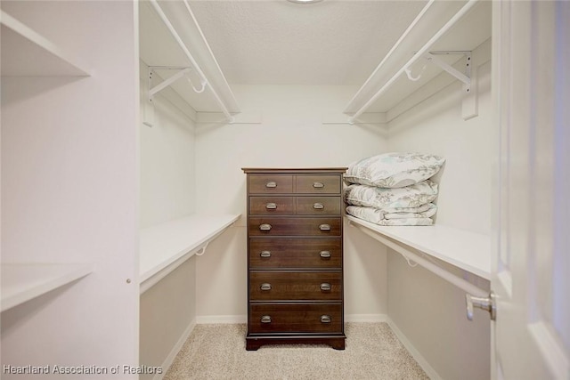 walk in closet featuring light carpet