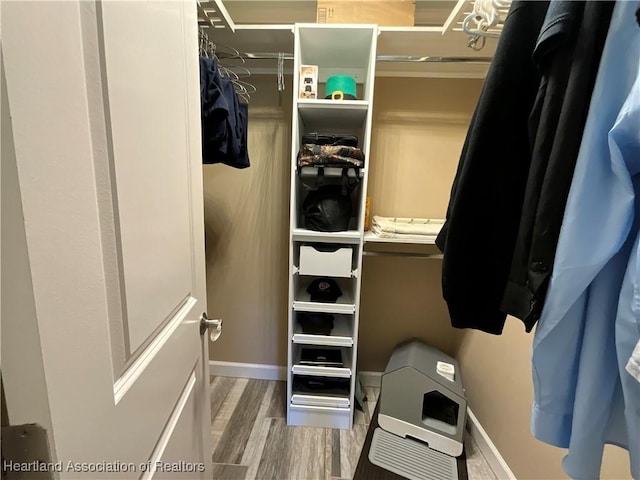 spacious closet with hardwood / wood-style floors