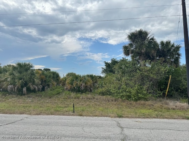 320 Kansas Ter, La Belle FL, 33935 land for sale