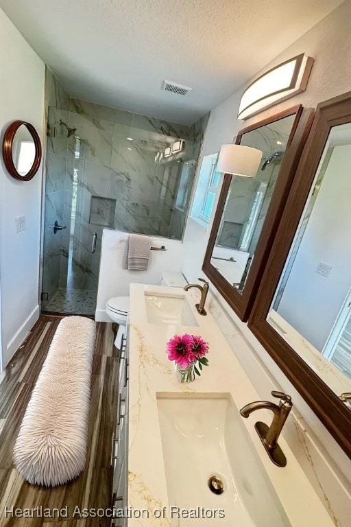 bathroom with vanity, a textured ceiling, toilet, and walk in shower