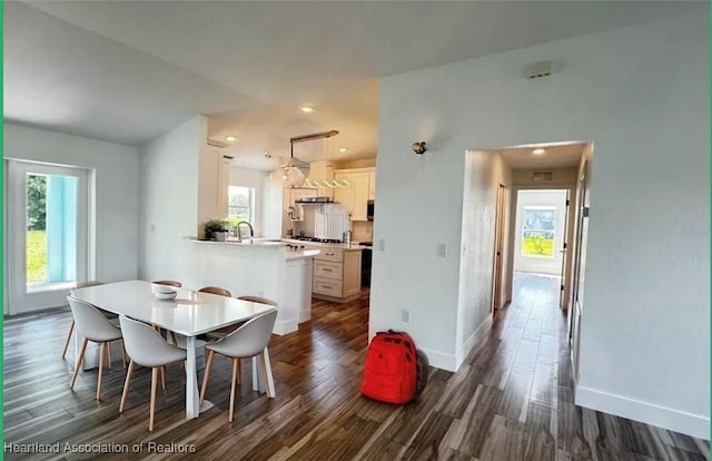 dining room with dark wood-type flooring