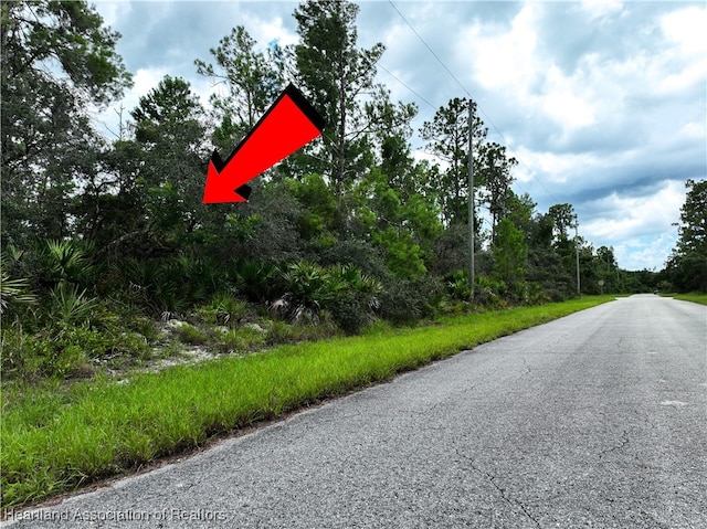 929 Breezy Rd, Lake Placid, FL 33852 - photo 8