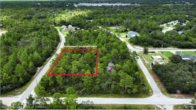 929 Breezy Rd, Lake Placid, FL 33852 - photo 3