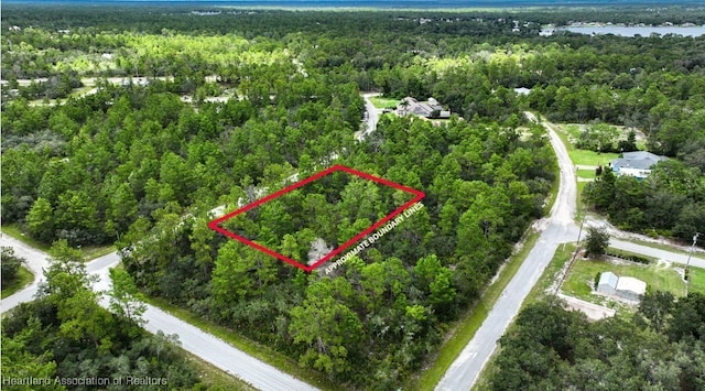 929 Breezy Rd, Lake Placid, FL 33852 - photo 4