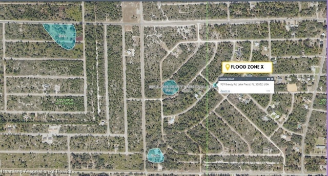 929 Breezy Rd, Lake Placid, FL 33852 - photo 5