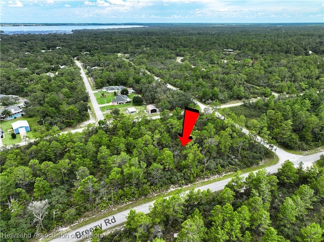 929 Breezy Rd, Lake Placid, FL 33852 - photo 9