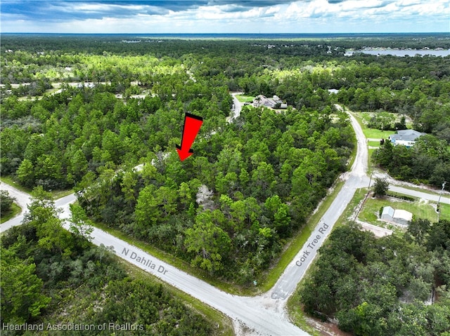 929 Breezy Rd, Lake Placid, FL 33852 - photo 11
