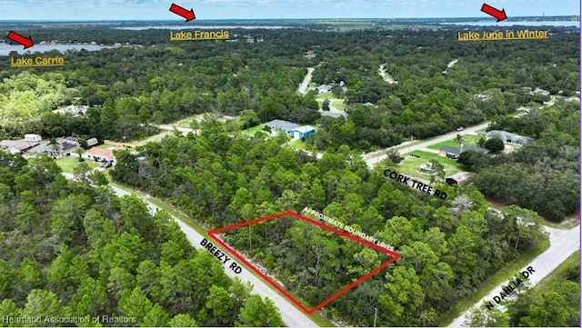 929 Breezy Rd, Lake Placid, FL 33852 - photo 2
