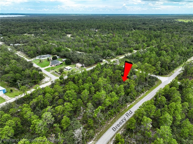 929 Breezy Rd, Lake Placid, FL 33852 - photo 7