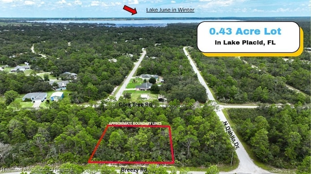929 Breezy Rd, Lake Placid, FL 33852 - photo 1