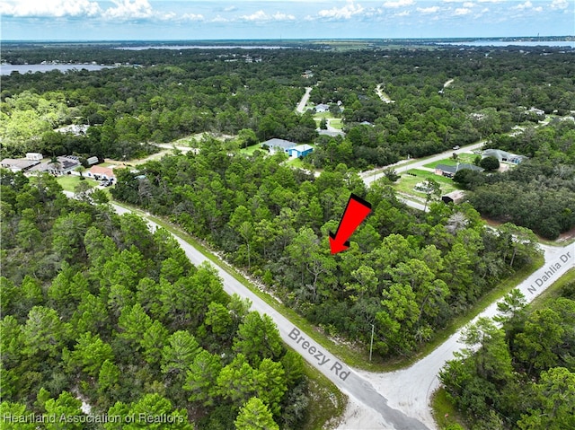 929 Breezy Rd, Lake Placid, FL 33852 - photo 12