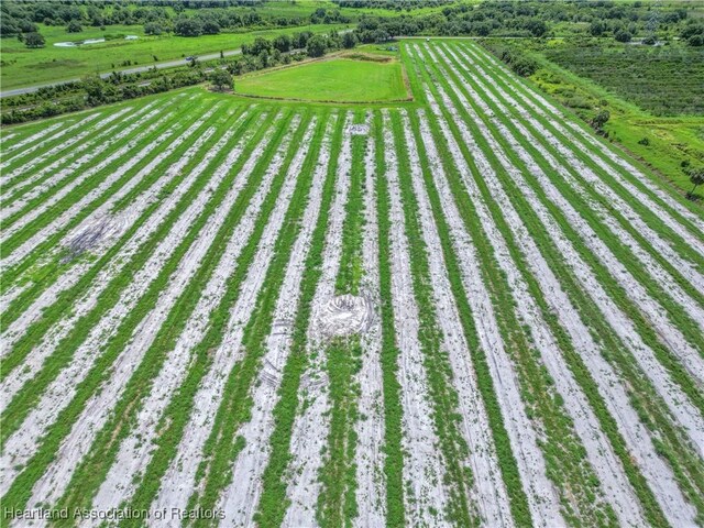 8495 Cr-621, Lorida, FL 33857 - photo 19