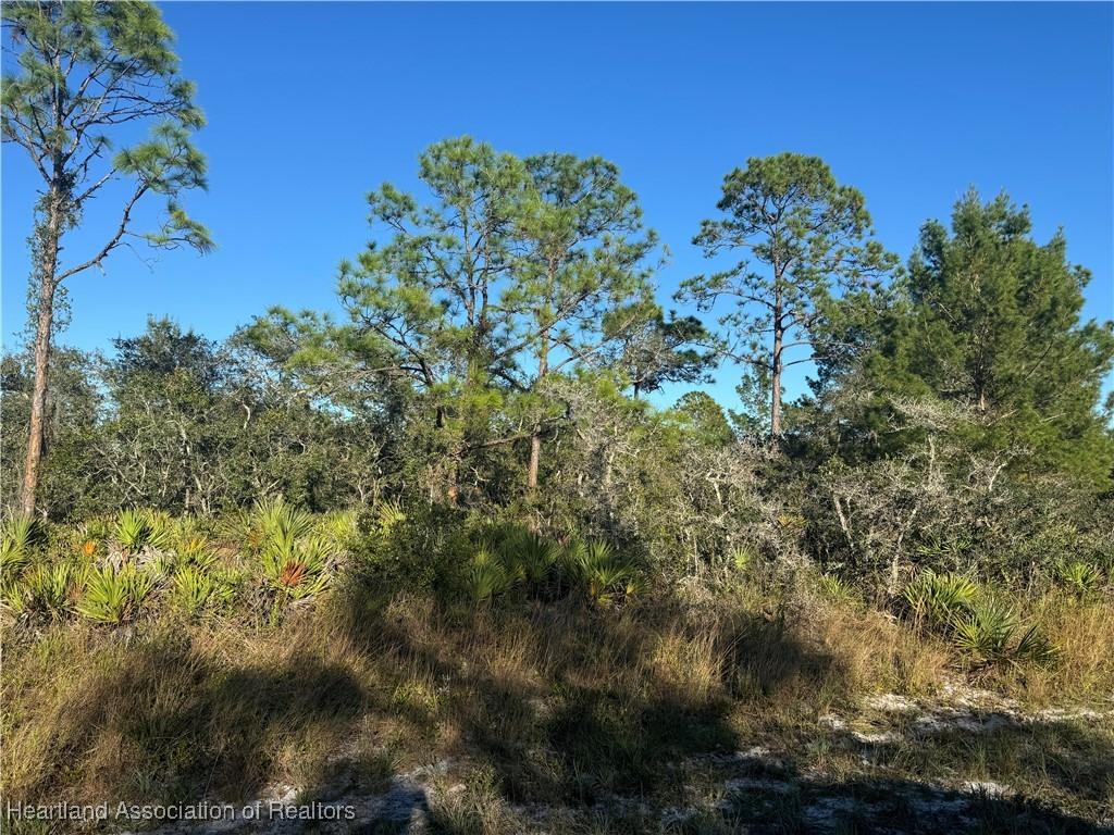 1239 Popinjay Ave, Lake Placid, FL 33852 - photo 3